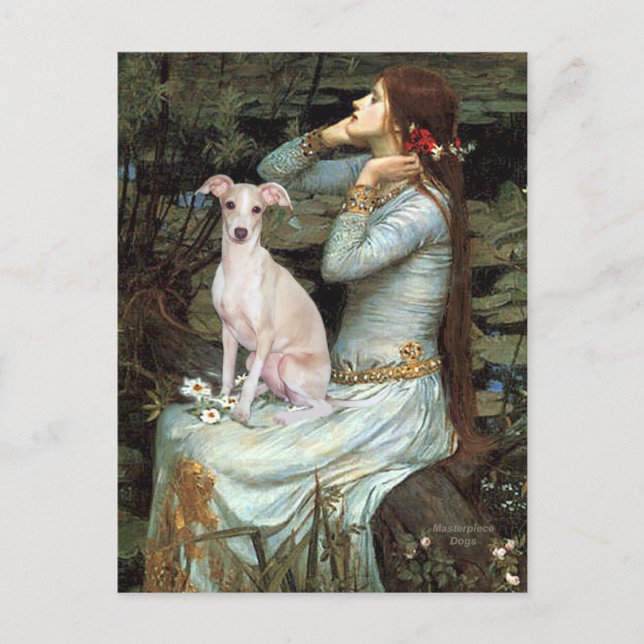Carte Postale Ophelia - Lévrier italien 5 (Devant)