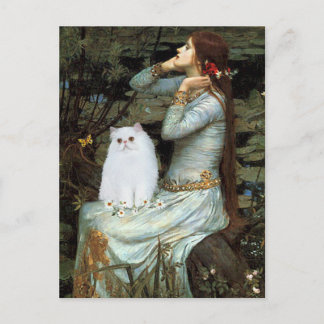 Carte Postale Ophélie - Chaton Perse Blanc