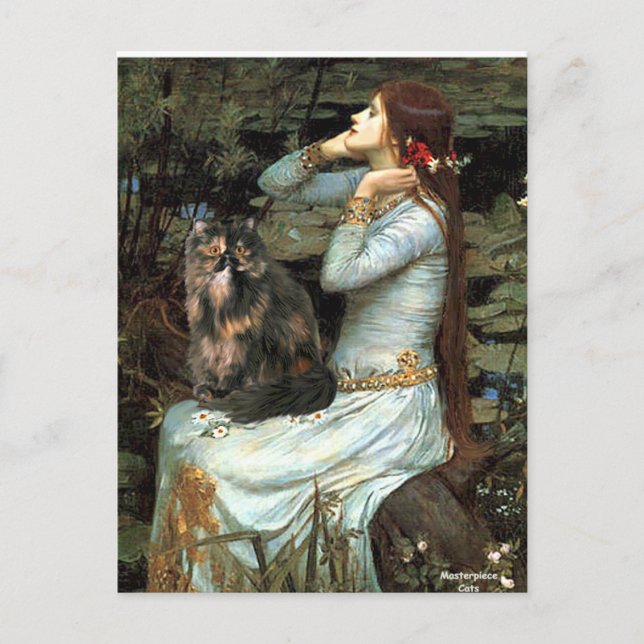 Carte Postale Ophélie - Perse Calico chat (Devant)