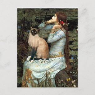 Carte Postale Ophélie - Point de phoque Chat de Siamèse