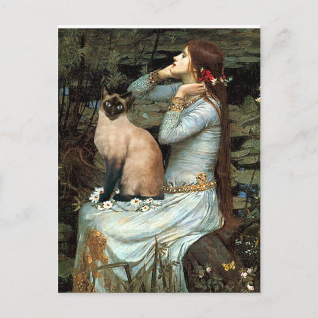 Carte Postale Ophélie - Point de phoque Chat de Siamèse (Devant)