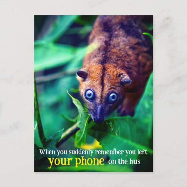 Carte Postale Opossum aux grands yeux (Devant)