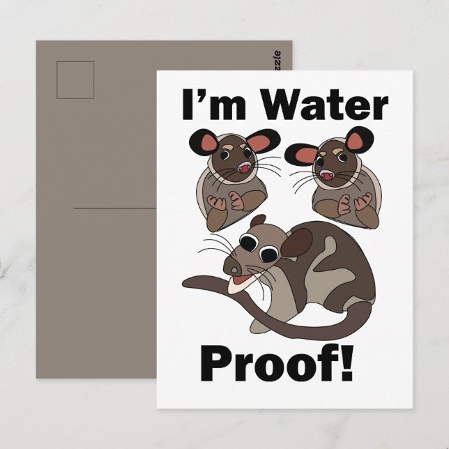 Carte Postale Opossum d'eau Je suis Étanche Drôle  (Devant / Derrière)