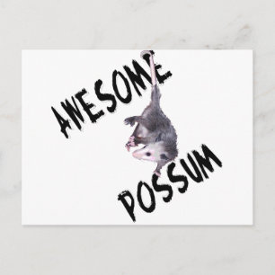Carte Postale Opossum Possum génial