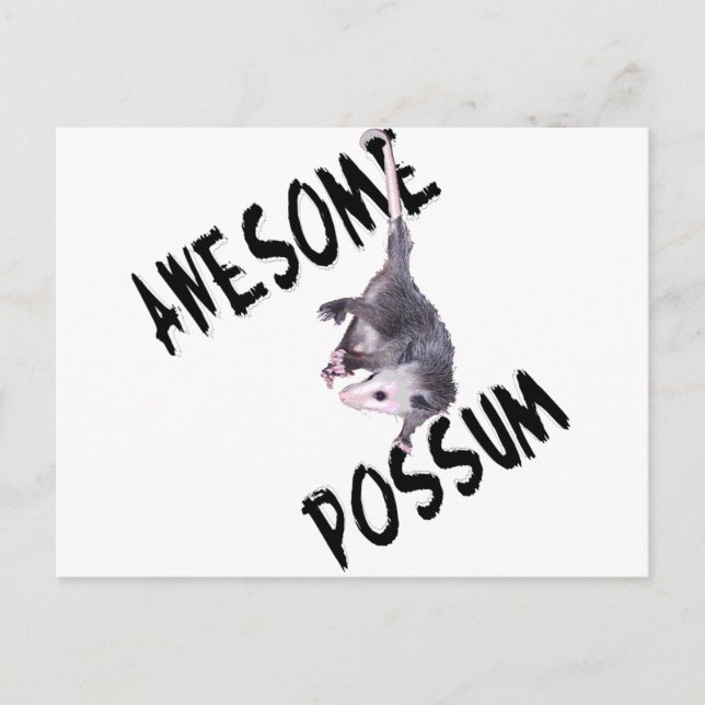 Carte Postale Opossum Possum génial (Devant)