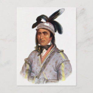 Carte Postale Opothle-Yoholo, un chef Creek