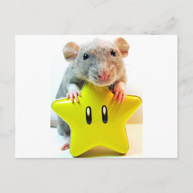 Carte Postale Optimus Star (Devant)