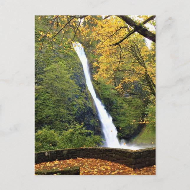 CARTE POSTALE OR (Devant)