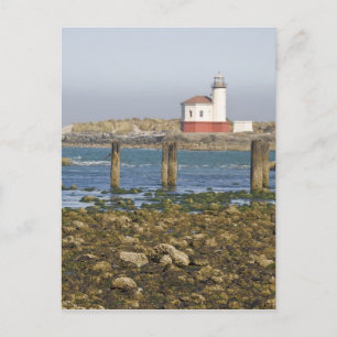 Carte Postale OR, côte de l'Oregon, Bandon, Coquille River 2