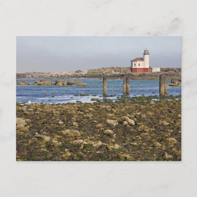 Carte Postale OR, côte de l'Oregon, Bandon, rivière Coquille (Devant)