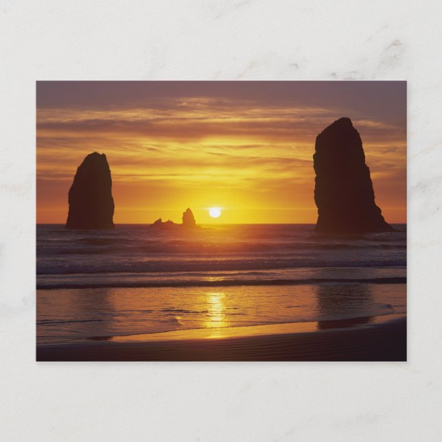 Carte Postale OR, côte de l'Oregon, Cannon Beach, piles de mer à (Devant)