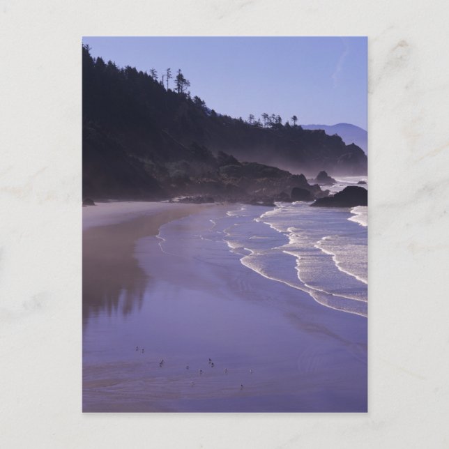 Carte Postale OR, Ecola SP, Indian Beach avec brouillard matinal (Devant)