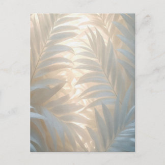 Carte Postale Or pâle des tropiques blancs, feuilles de palmier