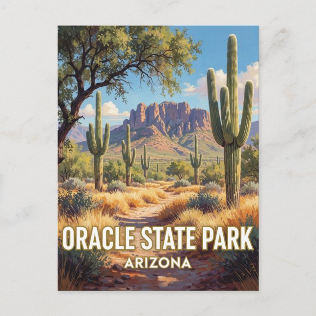 Carte Postale Oracle State Park — Arizona (Devant)