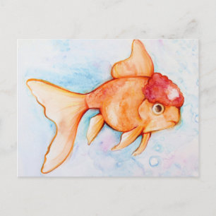 Carte Postale Oranda Goldfish