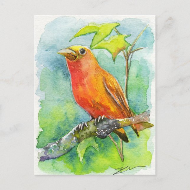 Carte Postale Orange Bird (Devant)