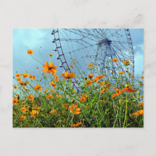 Carte Postale Orange Cosmos Fleurs & Ferris Roue : Tokyo Postca