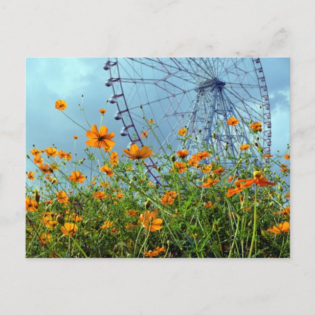Carte Postale Orange Cosmos Fleurs & Ferris Roue : Tokyo Postca (Devant)