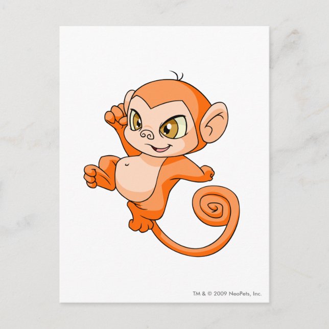 Carte Postale Orange de Mynci (Devant)