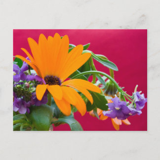 Carte Postale Orange Et Purple Flower