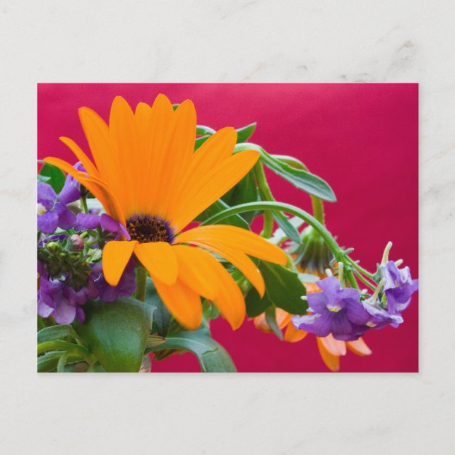 Carte Postale Orange Et Purple Flower (Devant)