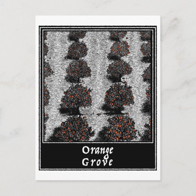 Carte Postale Orange Grove (Devant)