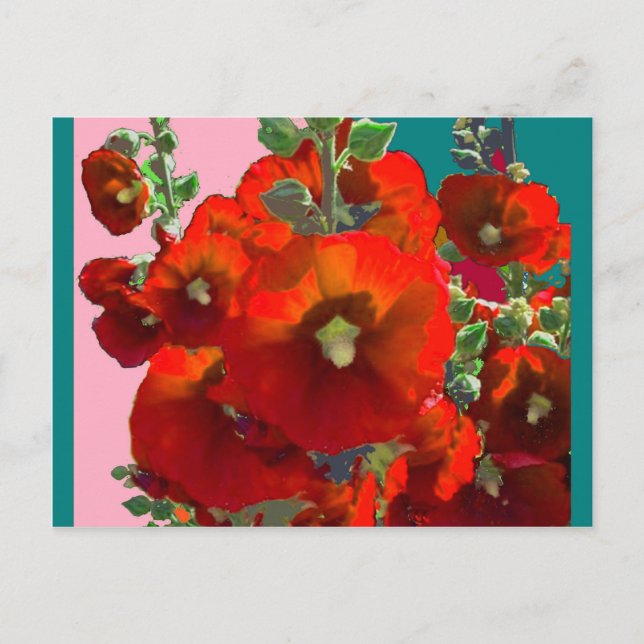 Carte Postale Orange Hollyhock Garden Cadeaux (Devant)