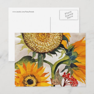 Carte Postale Orange Jaune Graine Tournesol Art