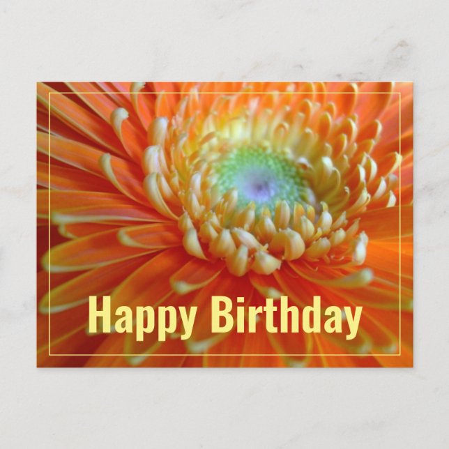 Carte Postale Orange joyeux Gerber Joyeux Anniversaire (Devant)