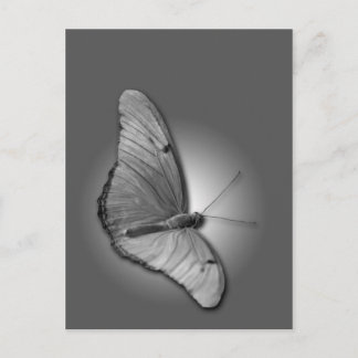 Carte Postale Orange Julia