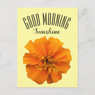 Carte Postale Orange Marigold Good Morning Sunshine