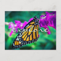 Orange Monarch Butterfly Photo Explorer Élégant
