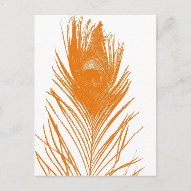 Carte postale Orange Peacock (Devant)