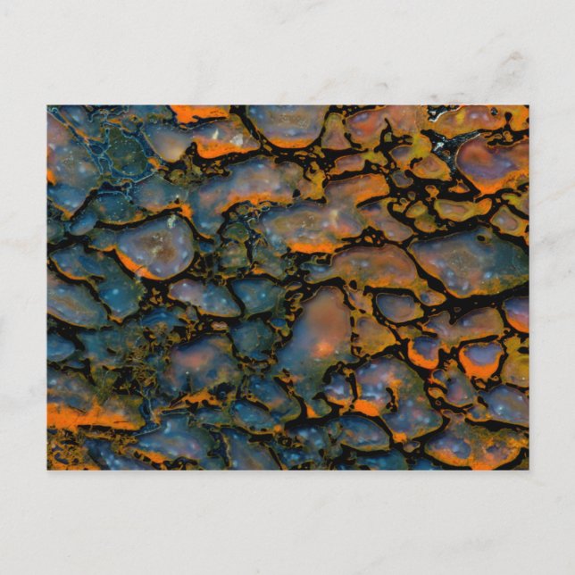 Carte Postale Orange Petrified dinosaur bone (Devant)