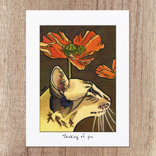 Carte Postale Orange Poppies Chat Penser de vous sur mesure