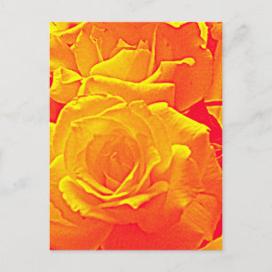 Carte Postale orange rose fluorescent