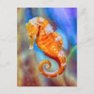 Carte Postale Orange Seahorse délice
