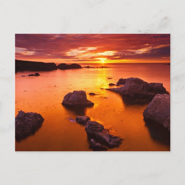 Carte Postale Orange seascape, sunset, Californie (Devant)