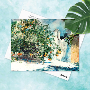 Carte Postale Orange Tree Gate Nassau Winslow Homer