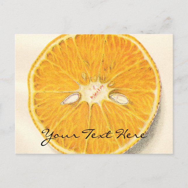 Carte postale orange vintage (Devant)