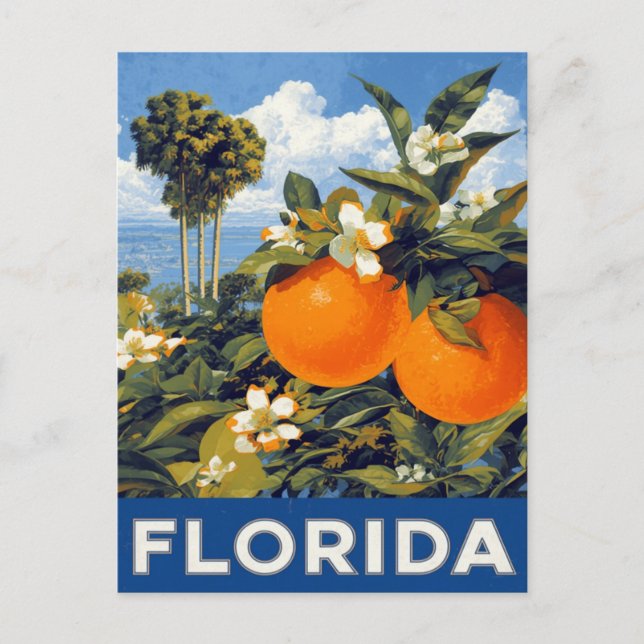 Carte Postale Oranges de Floride Voyage Rétro (Devant)
