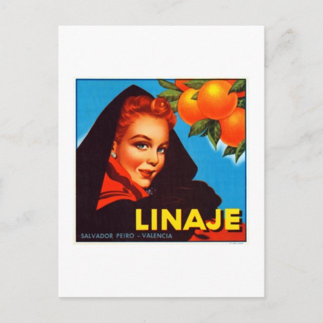 Carte Postale Oranges de Linaje Valencia (Devant)