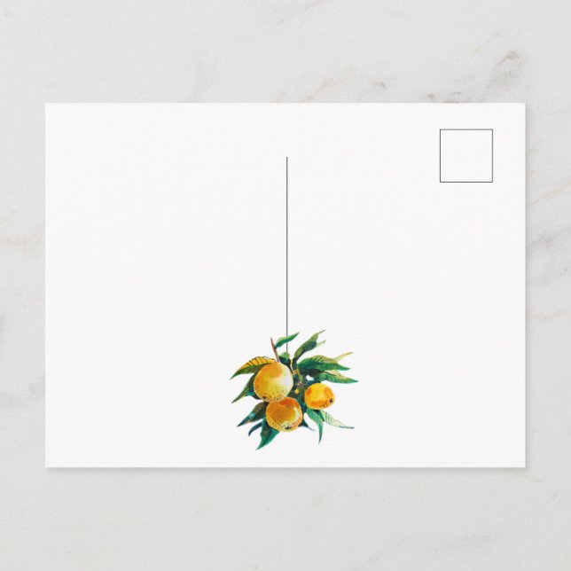 Carte postale oranges et fleurs (Dos)
