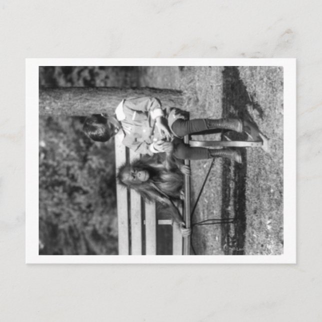 Carte Postale Orangutan et garçon dans le zoo national (Devant)