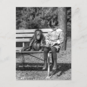 Carte Postale Orangutan et garçon - Zoo national