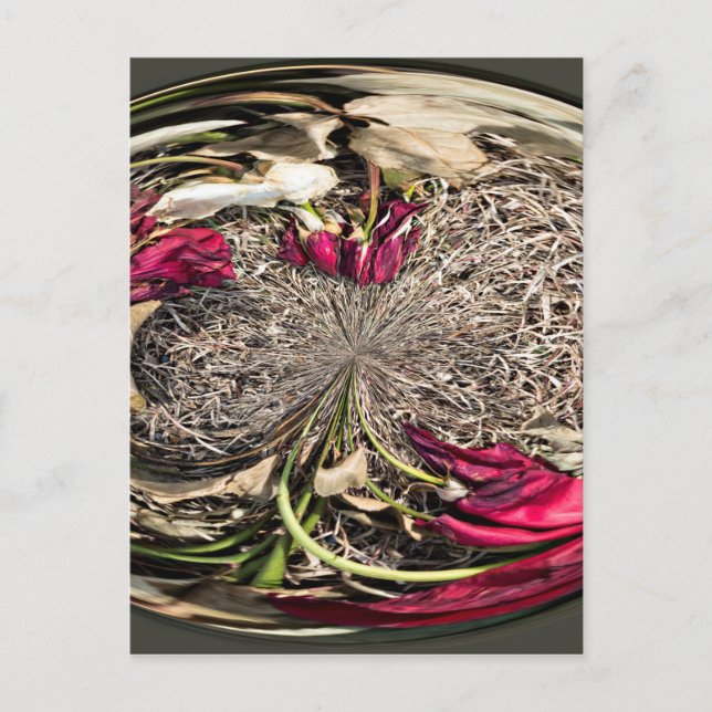 Carte Postale Orbe à fleurs Roses du cimetière (Devant)