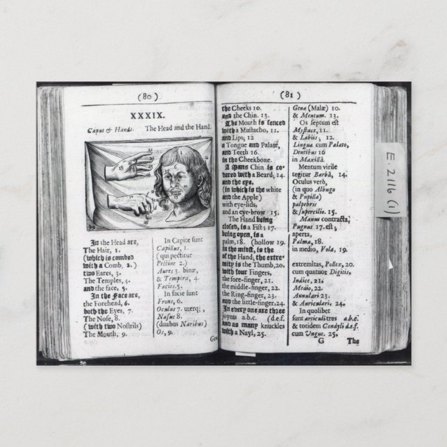 Carte Postale 'Orbis Sensualium Pictus' (Devant)