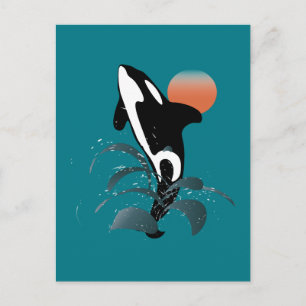 Carte Postale Orca