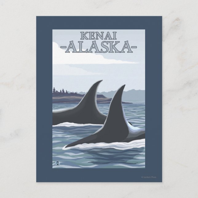 Carte Postale Orca Baleines #1 - Kenai, Alaska (Devant)