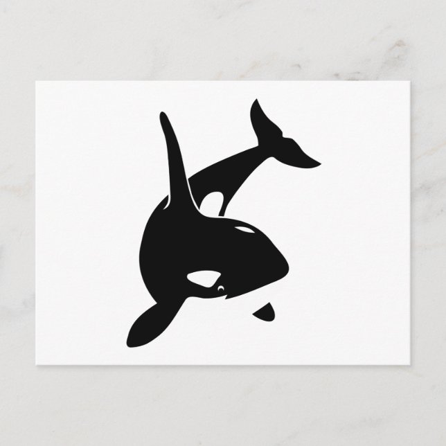 Carte Postale orca dolphin delphin schwer (Devant)